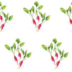 Jumbo Radishes, Garden Veggies, Pink and Green, Kitchen Print