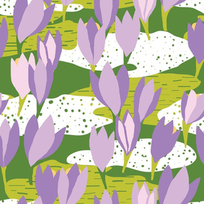 spring crocus