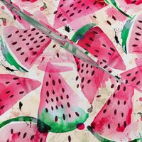 watery watermelons smaller scale