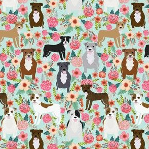 pitbull pitbull terriers cute dogs dog sweet animals florals mint dog pets