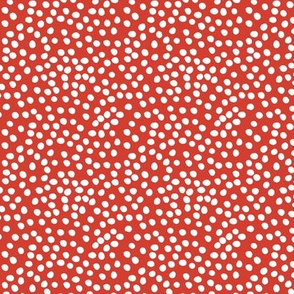 Ladybug Dots