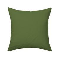 solid oolong olive green (607240)