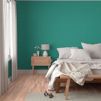 solid bright teal green (2C9C8C)