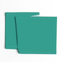 solid bright teal green (2C9C8C)