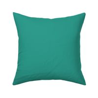 solid bright teal green (2C9C8C)