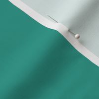 solid bright teal green (2C9C8C)