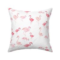 Watercolor Pink Flamingos