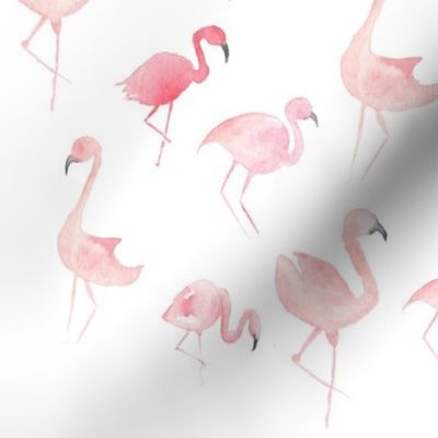 Watercolor Pink Flamingos