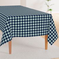 buffalo plaid 1" - navy and mint