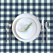 buffalo plaid 1" - navy and mint