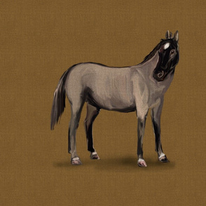 Roan Horse for pillow