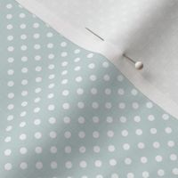 Spots on Blue Grey Small