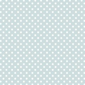 Spots on Blue Grey Small