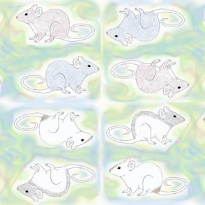Fancy Rats on a Pastel Background