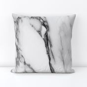 Marble in Gray and Black