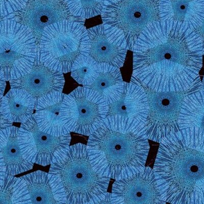 Pinwheels In Space Aqua Black Medium