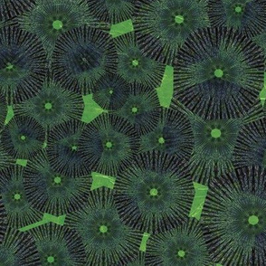 Pinwheels In Space Black Lime Medium