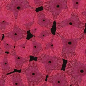 Pinwheels In Space Hot Pink Black Medium