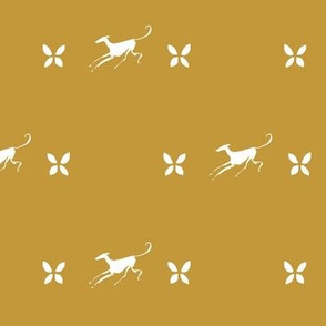 flying greyhound, white, brown
