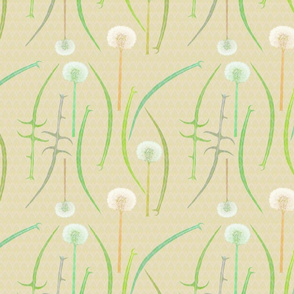 Dandelion pattern