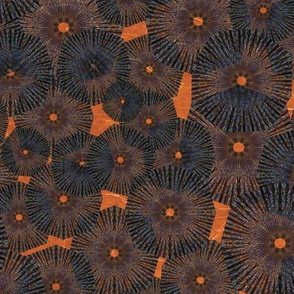 Pinwheels In Space Black Orange Medium