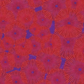 Pinwheels In Space Red Purple Medium