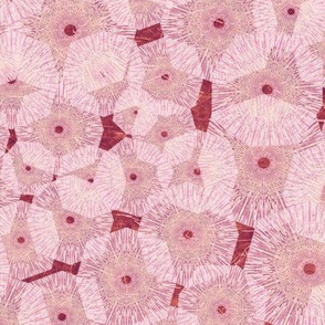 Pinwheels In Space Salmon Pink Medium