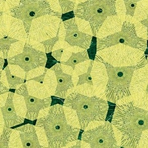Pinwheels In Space Yellow Green Medium
