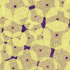 Pinwheels In Space Yellow Purple Medium
