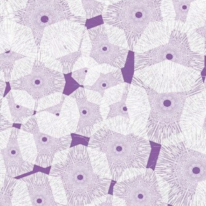 Pinwheels In Space White Purple Medium