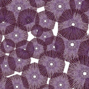 Pinwheels In Space Purple White  Medium