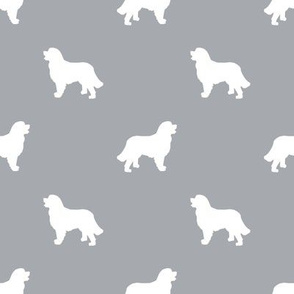 Bernese Mountain Dog silhouette dog breed pattern grey