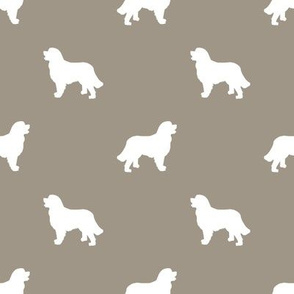 Bernese Mountain Dog silhouette dog breed pattern med brown