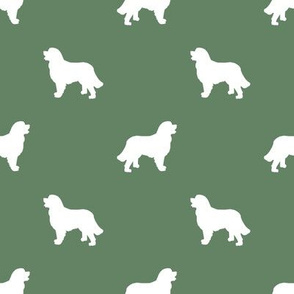 Bernese Mountain Dog silhouette dog breed pattern med green