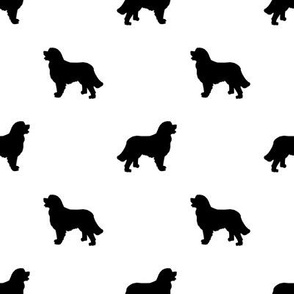 Bernese Mountain Dog silhouette dog breed pattern white