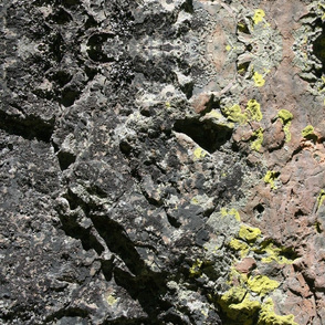 Lichen Boulder II