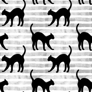 black cats on grey stripes