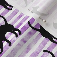 black cat on purple stripes