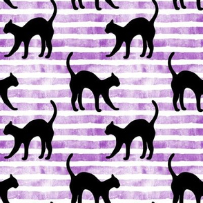 black cat on purple stripes