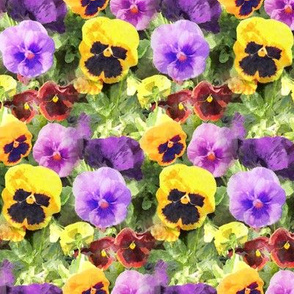 Pansy Flowers Watercolor
