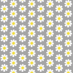 Sassy Summer Smiles-daisy grey/yellow