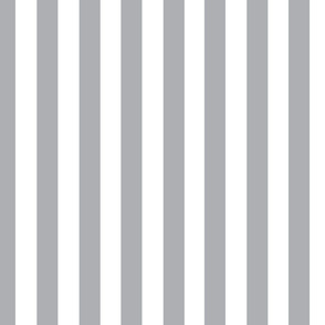 Gray Stripes on White