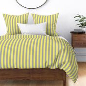 Yellow and Gray Stripes