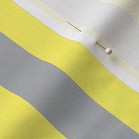 Yellow and Gray Stripes