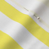 Yellow and White Stripes