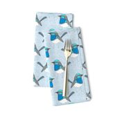 Bright Blue Wren Pattern