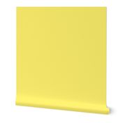 Sunny Yellow Solid Colour