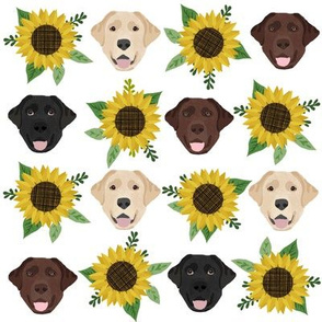 Labrador floral sunflower dog pattern white