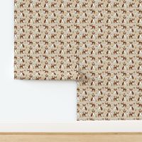 Boston Terrier Coffee red coat sand