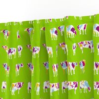 Paintbox Cows small